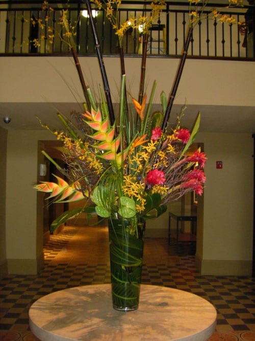 Weekly Flowers Dallas Delivery & Install Dr Delphinium